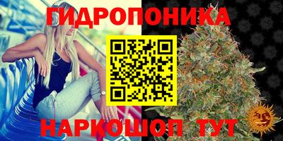 2c-b Камышлов