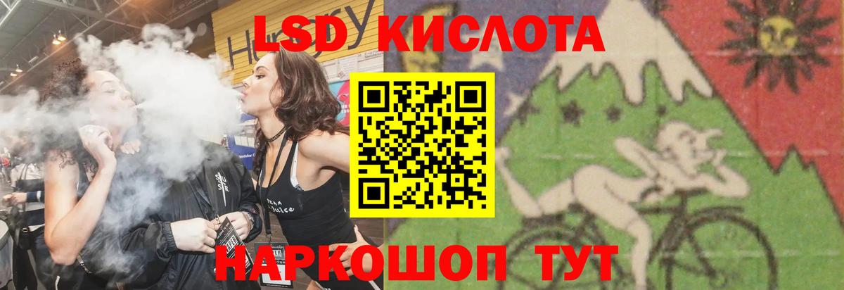 Курчалой  Лсд 25 экстази ecstasy  OMG как войти  LSD-25 экстази кислота  Вход с VPN 