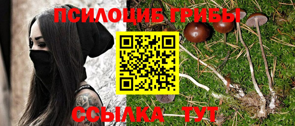 Курчалой  где продают   Вход с VPN  Галлюциногенные грибы ЛСД 